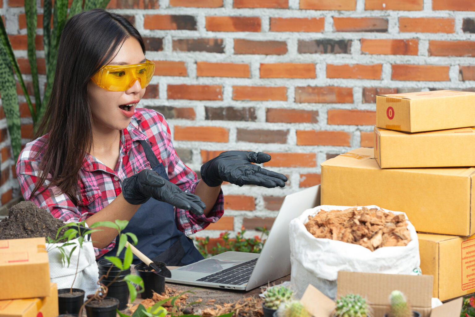 Step-by-Step Guide to Finding Products on Recifest Online Shop Step-by-Step Guide to Finding Products on Recifest Online Shop